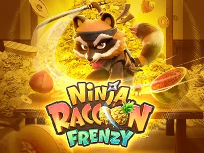 Ninja Raccoon Frenzy