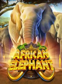 เกม African Elephant จากค่าย Pragmatic Play ทดลองฟรี เล่นได้ไม่จำกัด