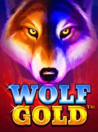 เกม Wolf Gold จากค่าย Pragmatic Play ทดลองฟรี เล่นได้ไม่จำกัด