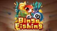 เกม Bingo Fishing ทดลองฟรี