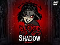 เกม Blood And Shadow