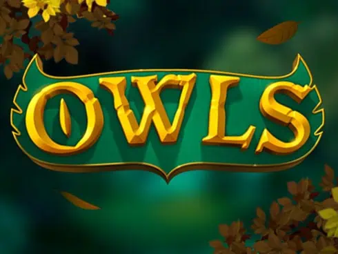 เกม Owls