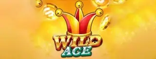 Wild Ace