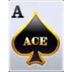 Wild Ace