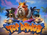 ทดลองเล่นสล็อตเกม Top Dawg$