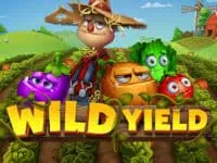 ทดลองเล่นสล็อตเกม Wild Yield