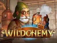 ทดลองเล่นสล็อตเกม Wildchemy