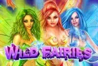 Wild Fairies เกมสล็อตค่าย Joker Gaming เล่นฟรี