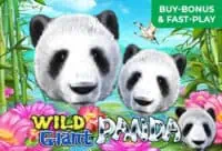 Wild Giant Panda เกมสล็อตค่าย Joker Gaming เล่นฟรี