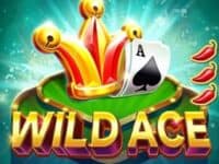 เกมสล็อต Wild Ace