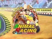 Animal Racing