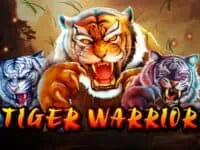 Tiger Warrior