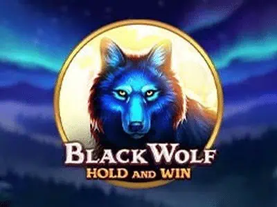 Black Wolf: Hold and Win