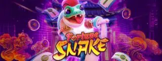 Fortune Snake